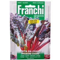 Franchi Sementi Rhubarb Swiss Chard 